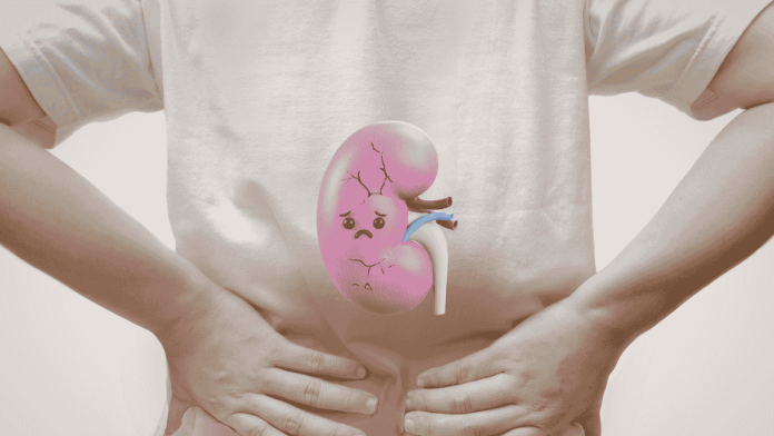 Tcm Kidney