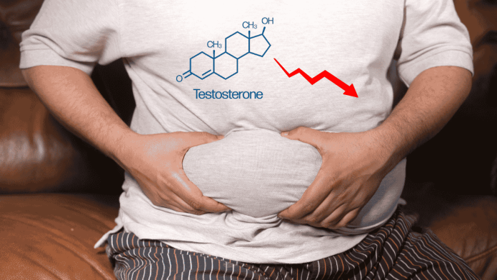 Testosterone Descent