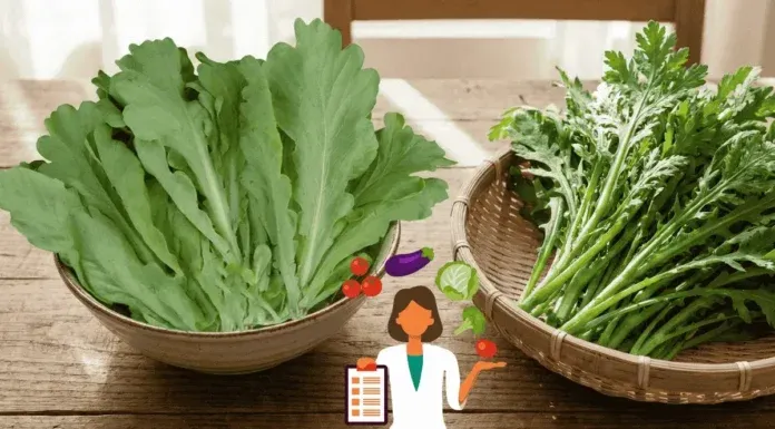 Tonghao Garland Chrysanthemum Health Benefits