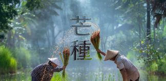 24節氣中醫養生 芒種濕氣重食宜清補 芒種濕氣重