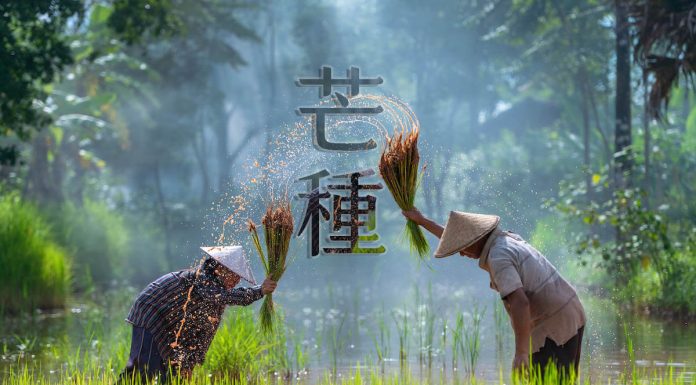 芒種濕氣重