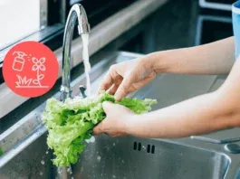Vegetable Pesticide Cleaning Starch Baking Soda