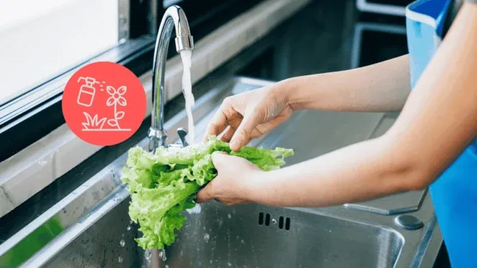 Vegetable Pesticide Cleaning Starch Baking Soda