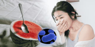 Watermelon Listeria Food Safety Prevention