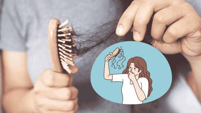 Winter Hair Loss
