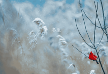 Winter Solstice