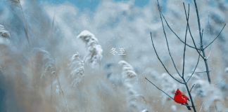 Winter Solstice