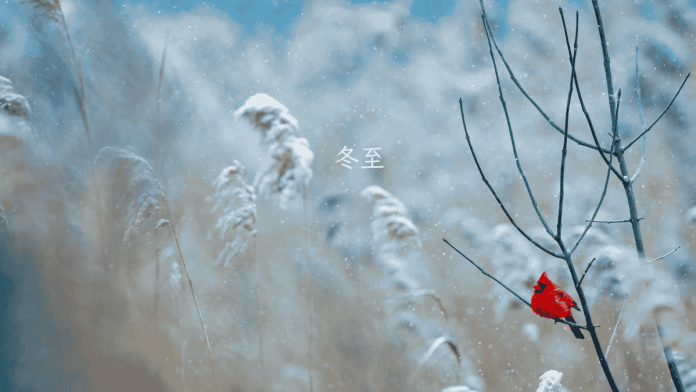 Winter Solstice
