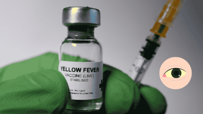 Yellow Fever