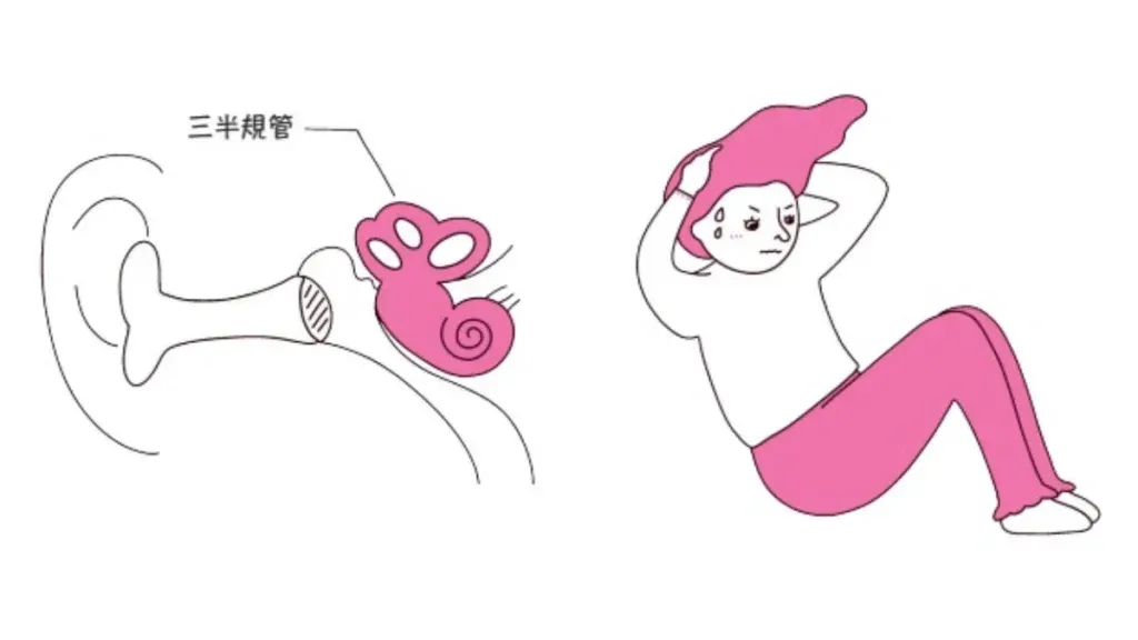 只 要 三 半 規 管 運 作 良 好 ,不 做 繃 緊 腹 部 的 腹 肌 運 動 也 沒 問 題 !