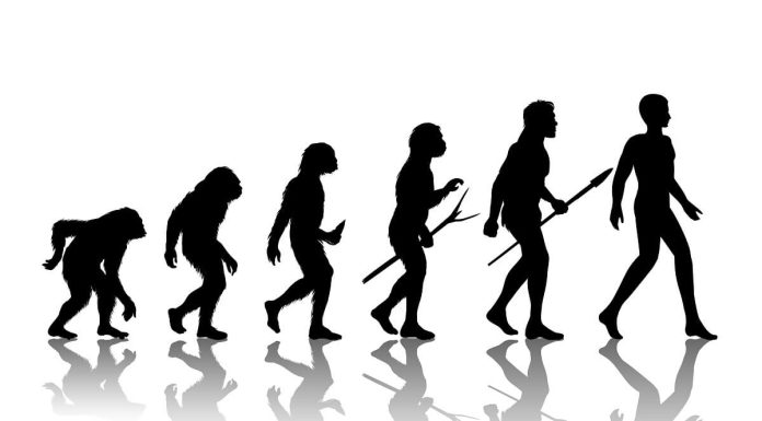 人類十大謎樣行為 科學進化論仍無法解釋!