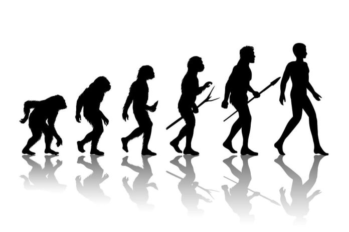 人類十大謎樣行為 科學進化論仍無法解釋!