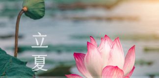 立夏宜養心