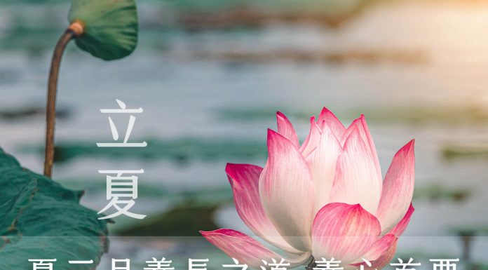 24節氣中醫養生 立夏宜養心清熱解毒 立夏宜養心