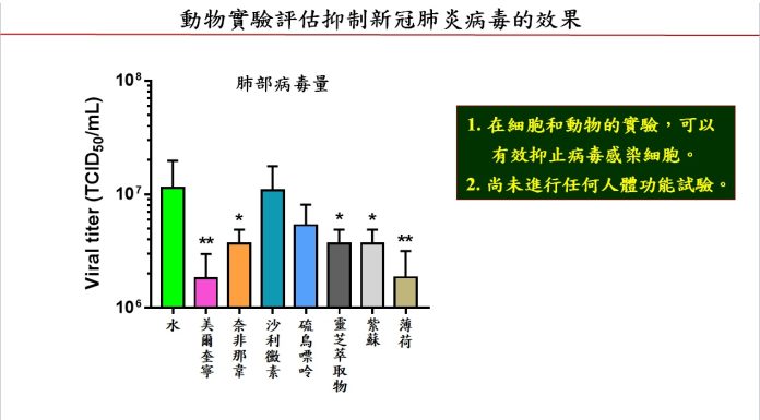 老藥新用抗疫 突破！具抗新冠病毒潛力.中研院翁啟惠團隊,動物實驗評估抑制新冠肺炎病毒的效果(圖.中研院提供)
