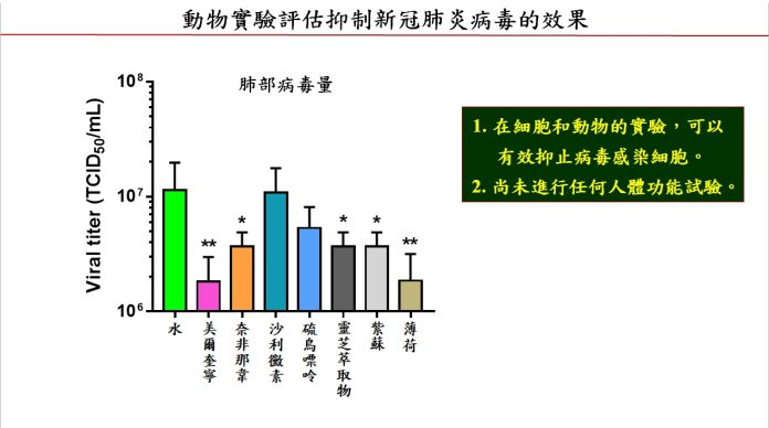 老藥新用抗疫 突破！具抗新冠病毒潛力.中研院翁啟惠團隊,動物實驗評估抑制新冠肺炎病毒的效果(圖.中研院提供)