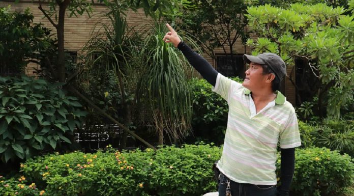 黃先生鼓勵所有癌友，罹患急性骨髓性白血病別失望，在醫護團隊的協助下，疾病一定可以獲得好轉